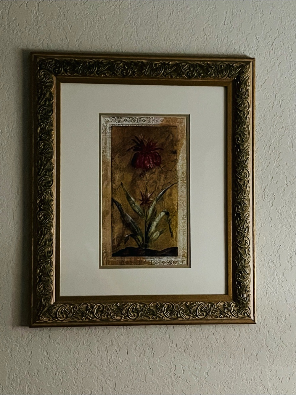 Ornate gold framed Lithograph Advante Tulip print by Liz Jardine 25x21